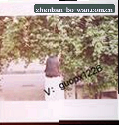 杨婷